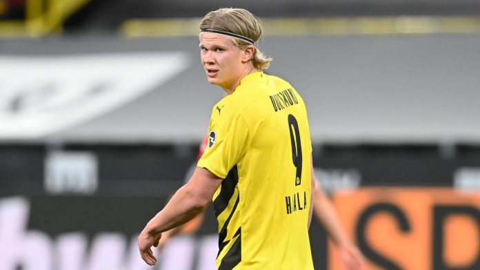 BVB Director Michael Zork speaks out forcefully: Erling Haaland stays

