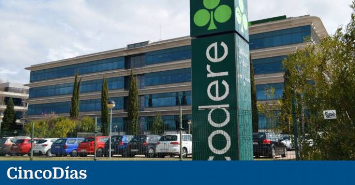   Codere burning in the first half of the liquidity with which it closed 2020 |  Companies

