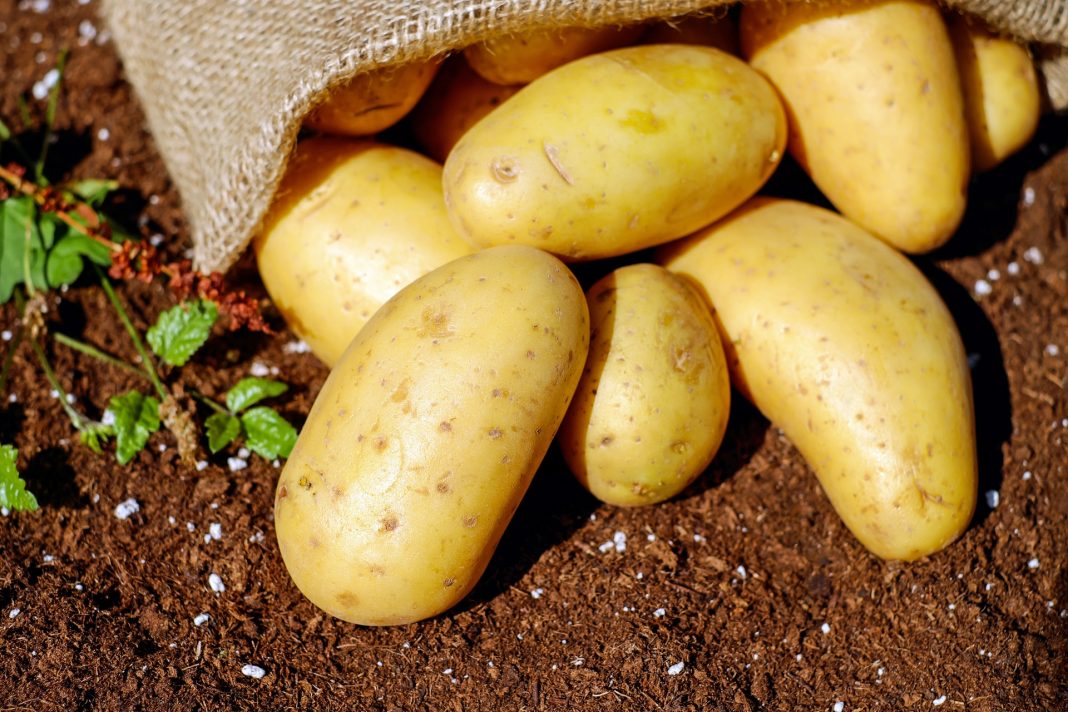 Very simple tricks to peel hot potatoes in two minutes without burning your fingers 

