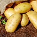 Very simple tricks to peel hot potatoes in two minutes without burning your fingers 

