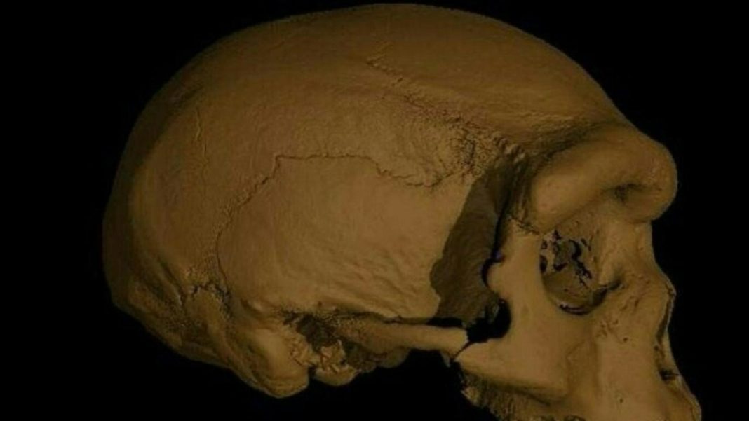 A new species of prehistoric man is closer to us than Neanderthals

