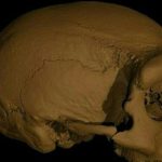 A new species of prehistoric man is closer to us than Neanderthals

