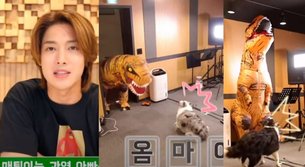 Kim Hyun Joong scared his dogs by disguising himself as an inflatable dinosaur

