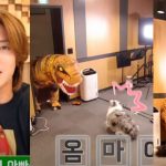 Kim Hyun Joong scared his dogs by disguising himself as an inflatable dinosaur

