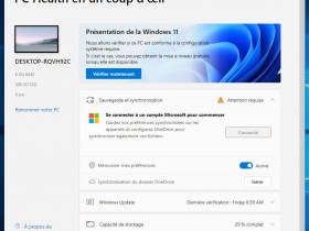 Computer Health Check (Windows 11 Compatibility Tool)