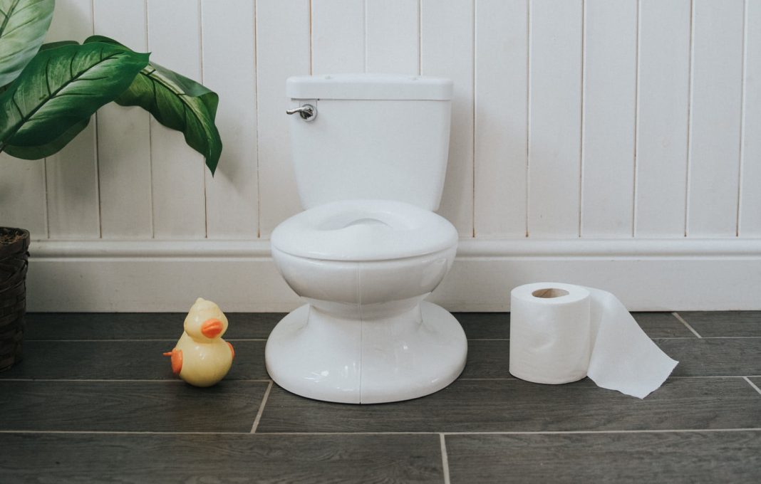 The toilet turns waste into virtual energy and money

