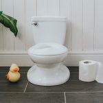 The toilet turns waste into virtual energy and money


