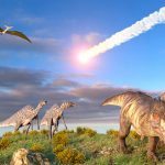   The asteroid that wiped out the dinosaurs came from an unexpected place |  technology

