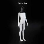Tesla hará un robot humanoide para ayudar a los conductores en "tareas peligrosas y repetitivas" (VIDEO)