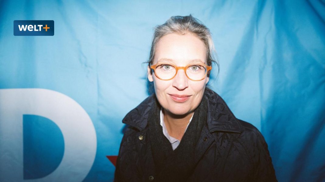 AfD candidate's election campaign: Alice Weidel looks like a winner

