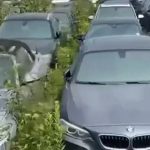   Canada: Over 3,000 all-new BMWs abandoned and rot in the open air in Vancouver |  Video |  EC Stories |  Globalism

