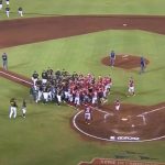 LMB: Fight stole the limelight in the South Zone final between Diablos Rojos and Leones de Yucatán

