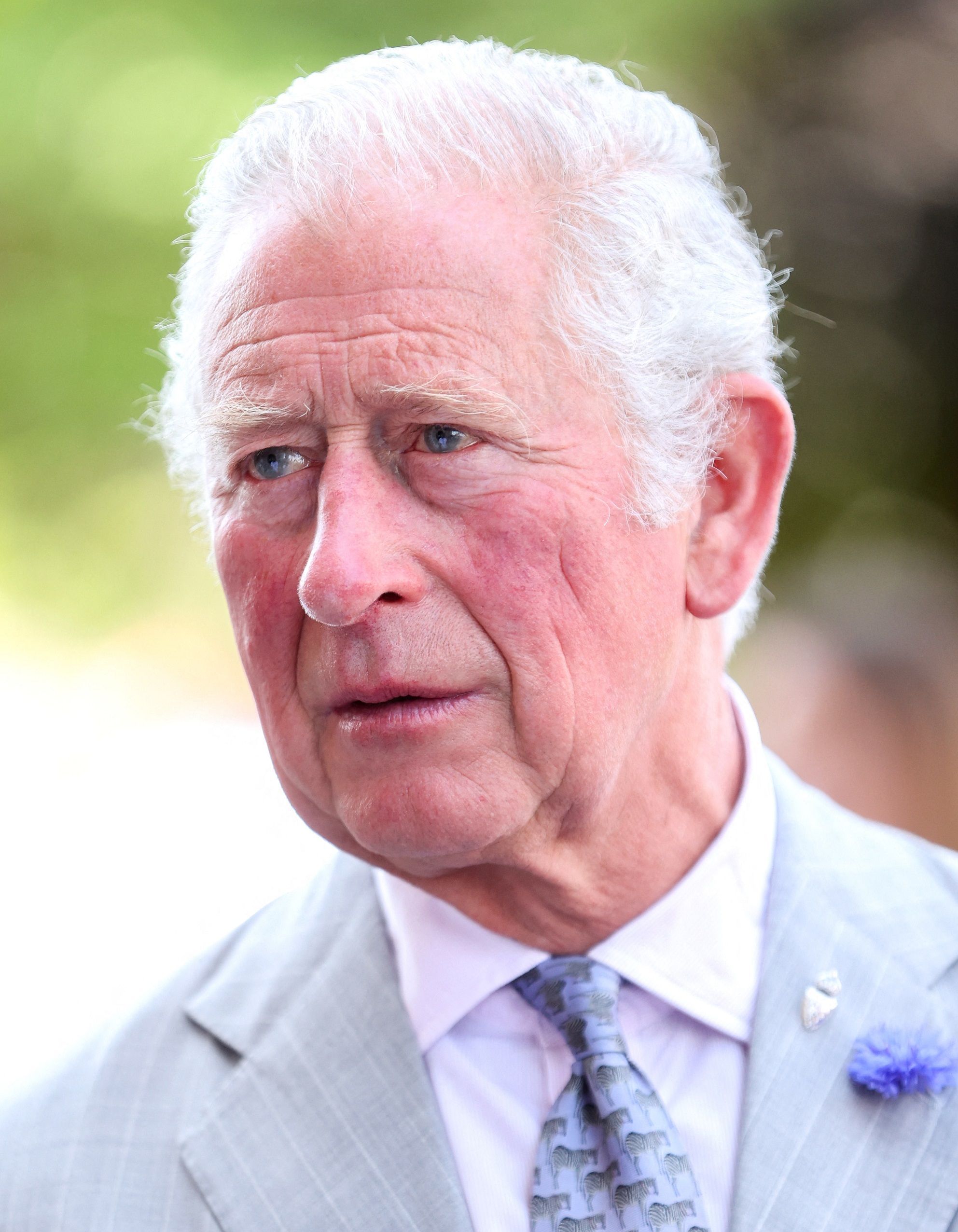Charles prince Prince Charles