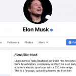 Facebook is checking Elon Musk's fan page as if he were a millionaire businessman

