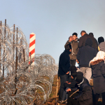Once the border fence between Belarus and Poland is broken, migrants cross the border

