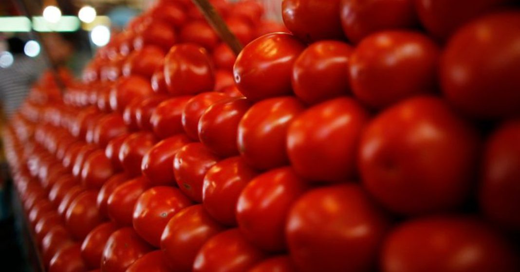 Mars tomato salad is getting closer and closer

