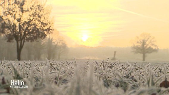 A winter landscape.  © Screenshot 