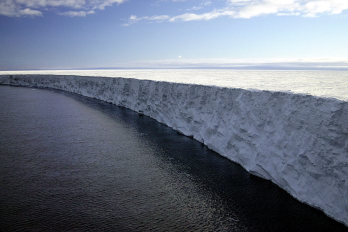  loaned from Antarctica |  How did the melting of a giant iceberg affect the marine environment?

