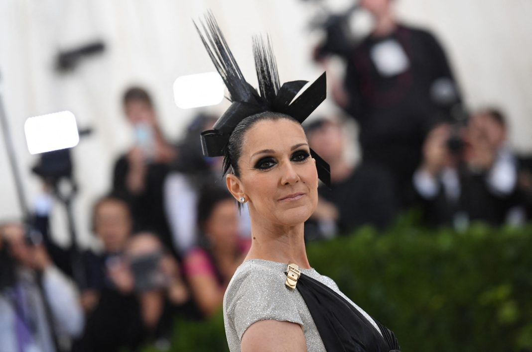 Celine Dion breaks the silence to send the moving message

