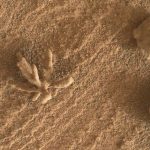 Curiosity rover images tiny 'mineral flower' on Mars