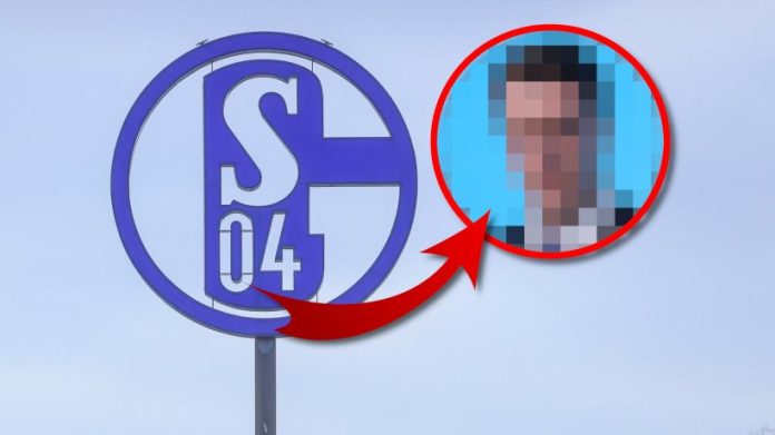 FC Schalke 04 is looking for a sponsor: key support now

