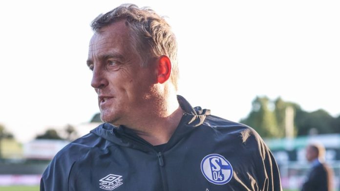 Schalke: Mike Puskens becomes coach - but only under condition

