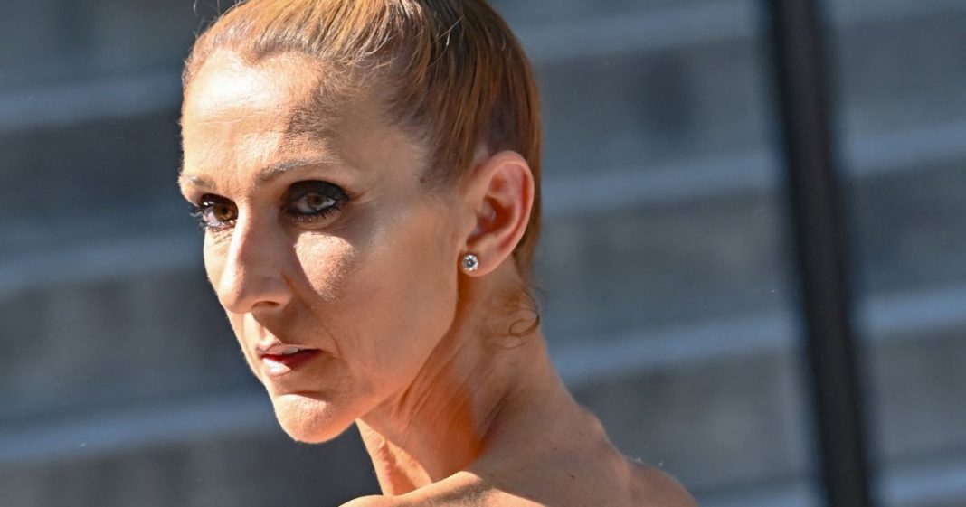 Who is Sylvain, Celine Dion's first lover who inspired one of her songs?

