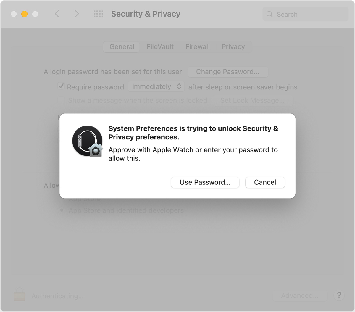 Apple Watch security window