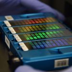 Scientists sequence the first ever complete human genome

