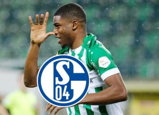 FC Schalke 04: Striker causes a stir - is ER one for S04?

