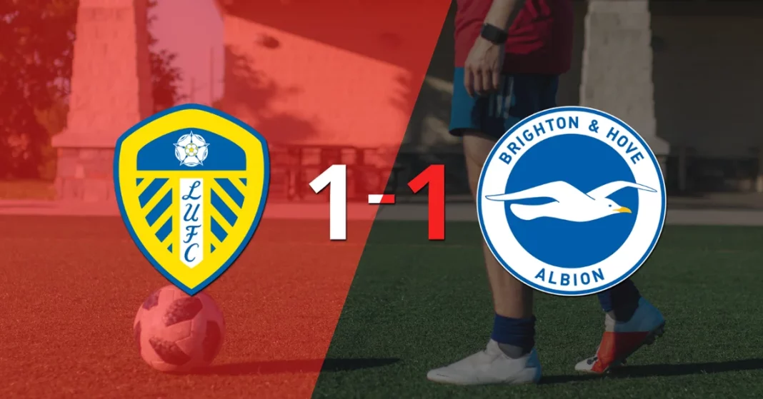 Points distribution in the 1-1 draw between Leeds United and Brighton and Hove

