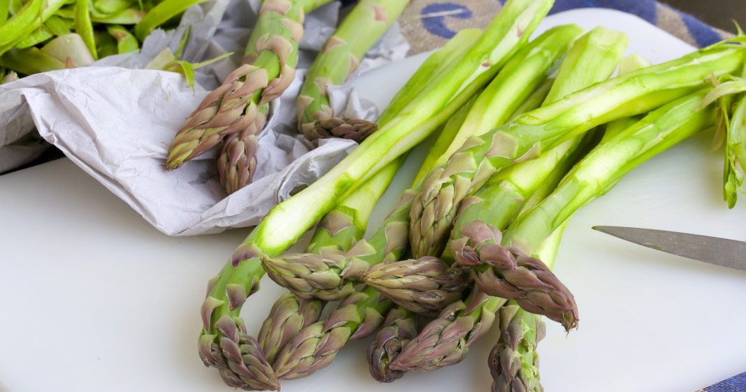  Asparagus solves the mystery of the smell of urine?  Latest Scientific Hypothesis - Libero Quotidiano

