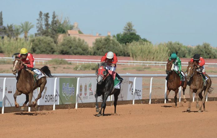 Marrakech hosts the Abudabian Arabian Horse Racing Festival

