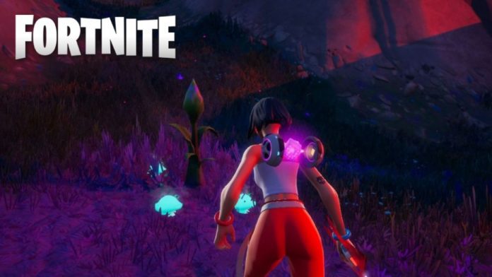 Fortnite: Plant or summon the Bushes of Reality using the Seeds of Reality

