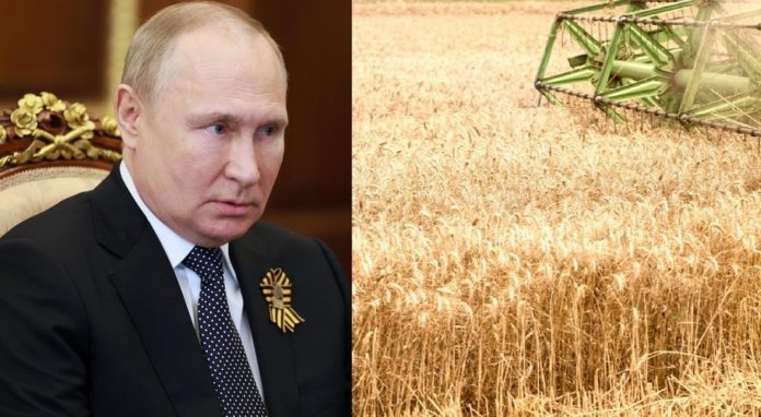  Putin, the secret plan to undo the sanctions.  Yale University Professor: He wants a global famine

