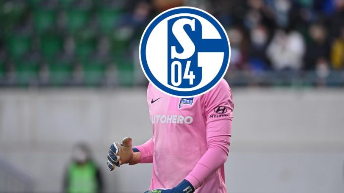  Schalke 04: The next coup!  S04 fills a large gap

