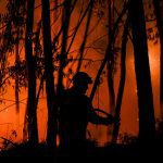 Heatwave in Portugal: Hundreds of forest fires spread

