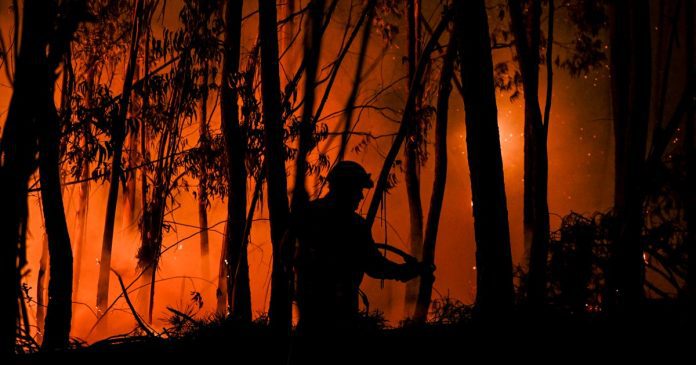Heatwave in Portugal: Hundreds of forest fires spread

