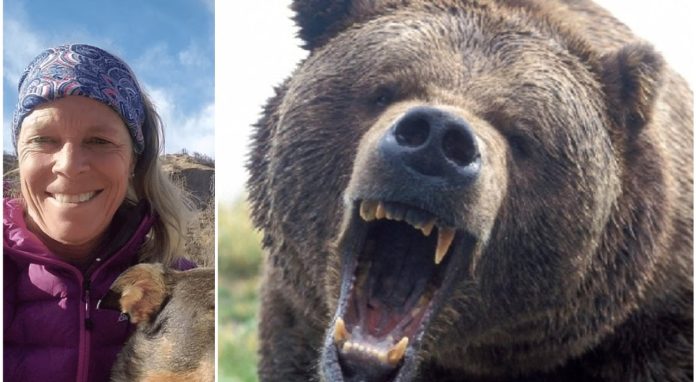 A woman scares a bear on a camping trip, and the animal comes back later and rips it apart

