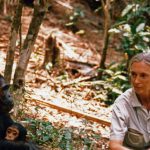 To inspire girls: Jane Goodall gets her very own Barbie doll

