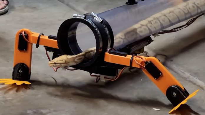  YouTuber's Crazy Idea: Build a robotic exoskeleton to do a snake walk.  And it works (but under human control) - video

