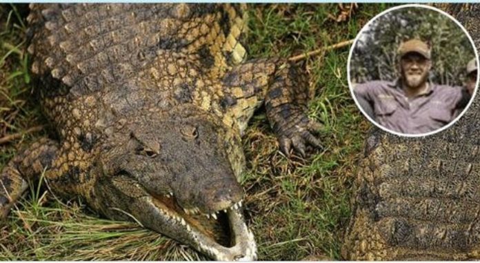  Kill the giant crocodile and post pictures.  Texas poacher forced to shut down social profiles after animal rights protests

