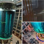 Berlin, a huge aquarium exploding with 1,500 fish: 2 injured

